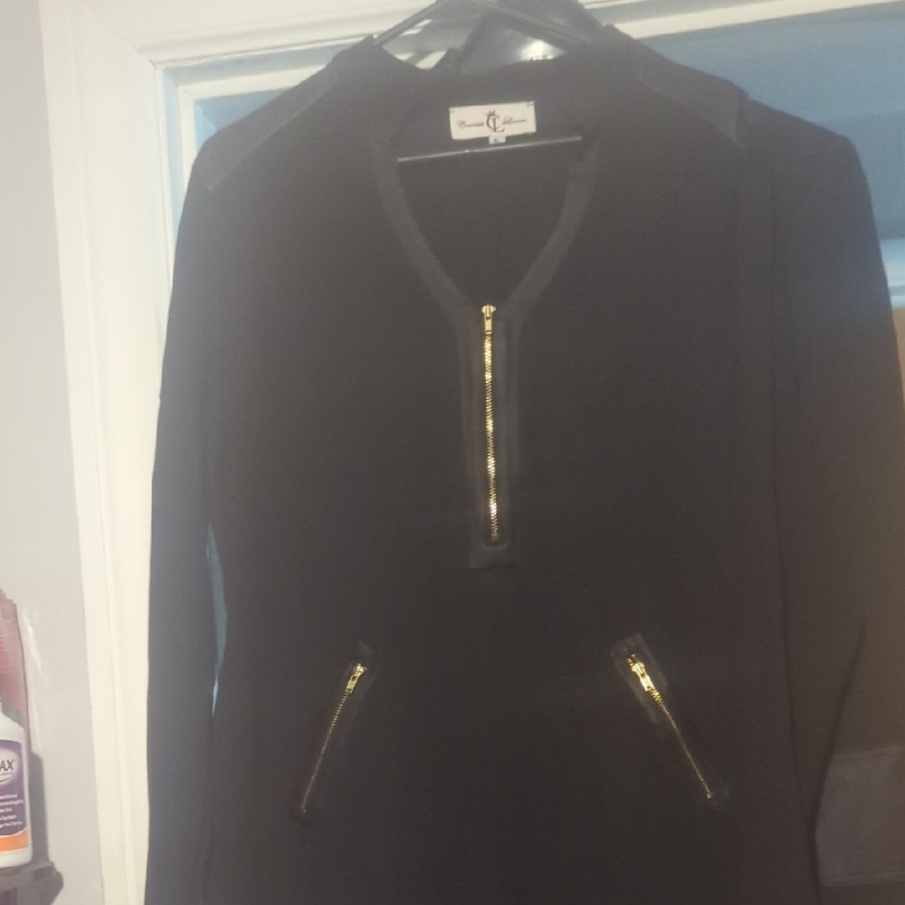 Chic Black Dress with Gold Zipper Accents